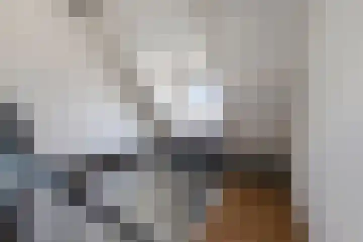 Vlierbes 17 Halsteren thumbnail 41
