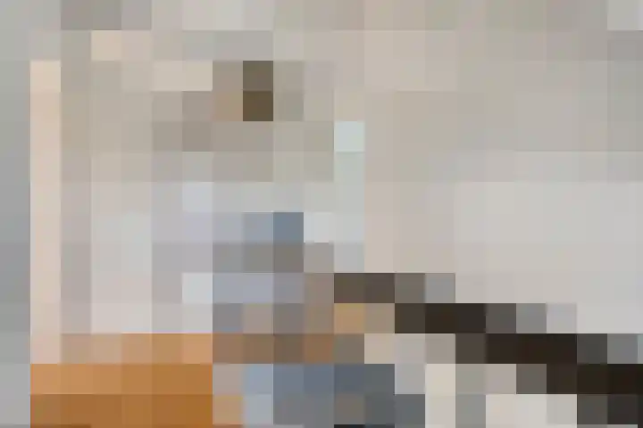 Vlierbes 17 Halsteren thumbnail 42