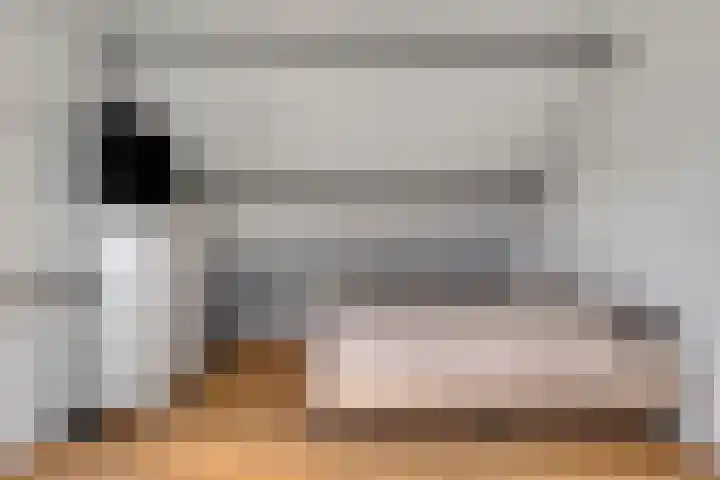 Vlierbes 17 Halsteren thumbnail 44