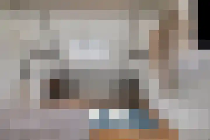 Vlierbes 17 Halsteren thumbnail 45