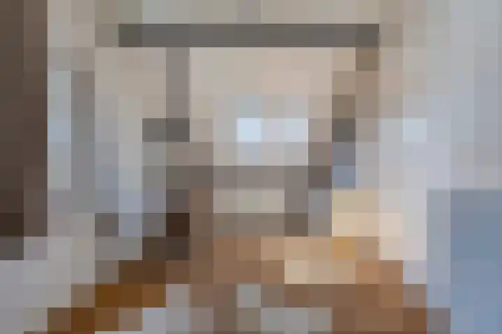 Vlierbes 17 Halsteren thumbnail 47