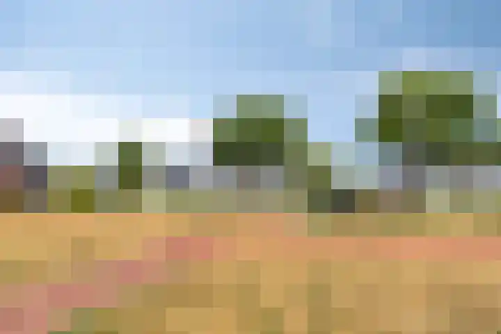 Vlierbes 17 Halsteren thumbnail 48