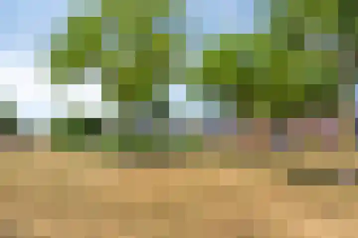 Vlierbes 17 Halsteren thumbnail 49