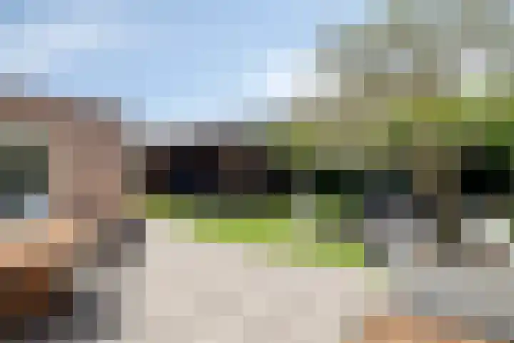 Vlierbes 17 Halsteren thumbnail 5