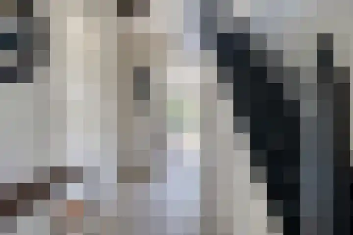Vlierbes 17 Halsteren thumbnail 6
