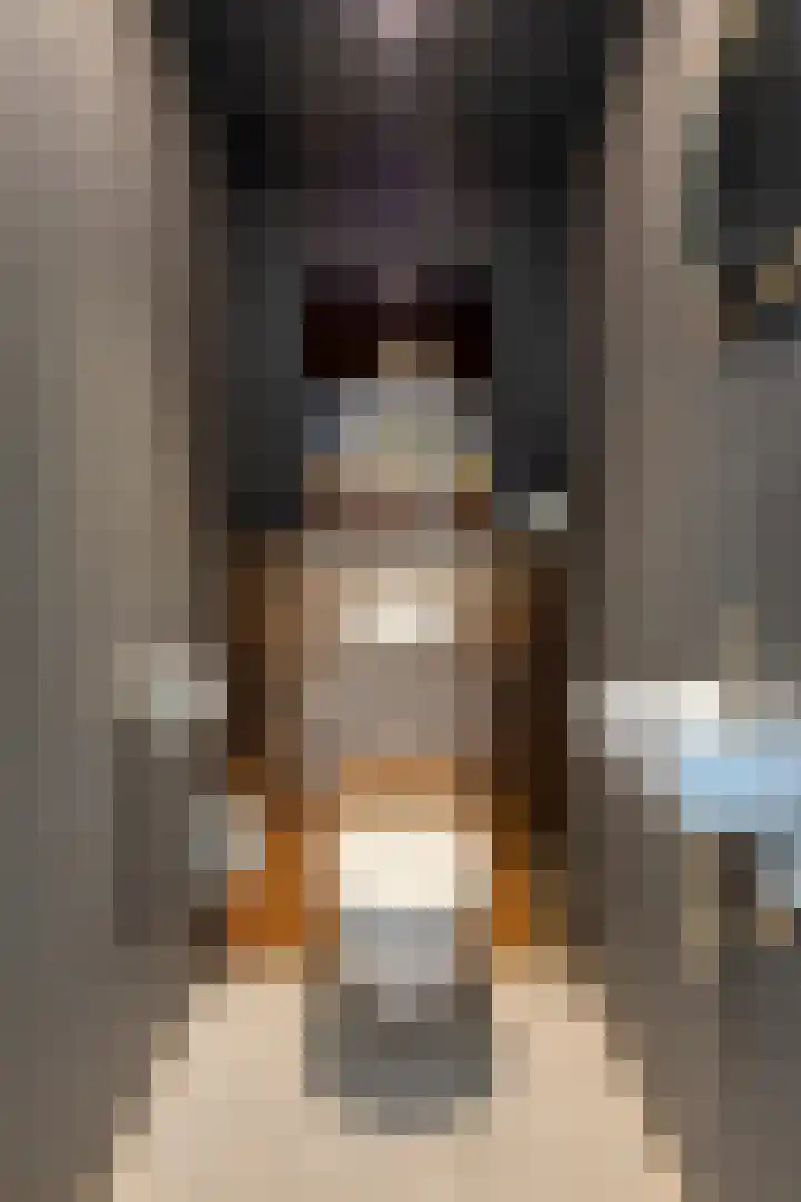 Vlierbes 17 Halsteren thumbnail 8