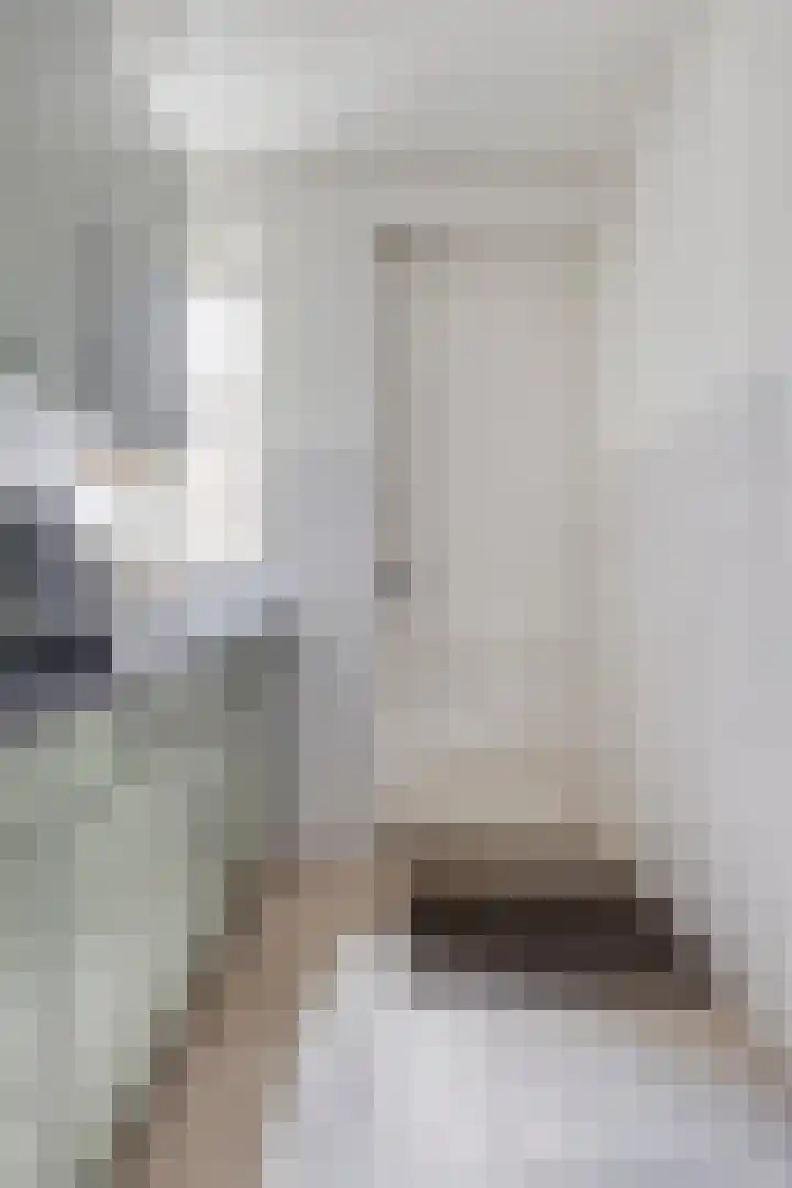 Vlierbes 17 Halsteren thumbnail 9