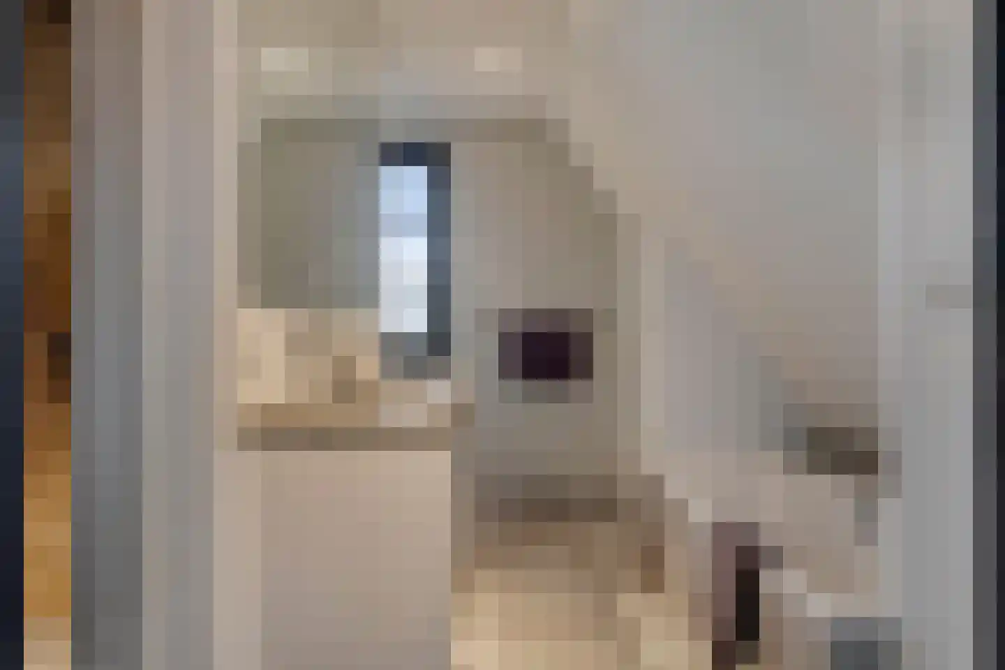 Vlierbes 20 Hengelo thumbnail 27