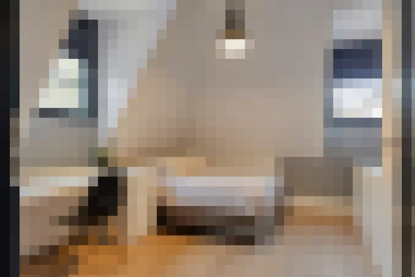 Vlierbes 20 Hengelo thumbnail 30