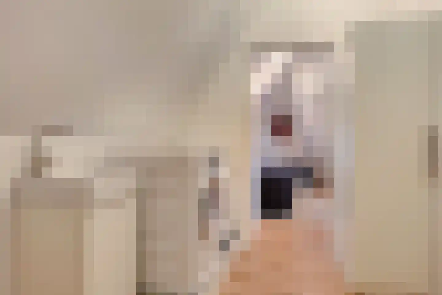 Vlierbes 20 Hengelo thumbnail 34