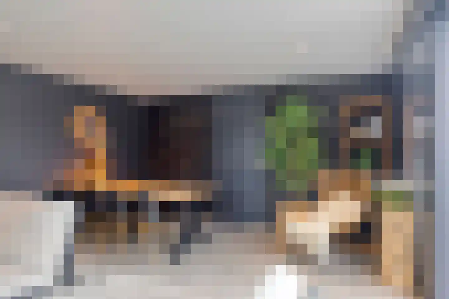 Vlierbes 20 Hengelo thumbnail 40