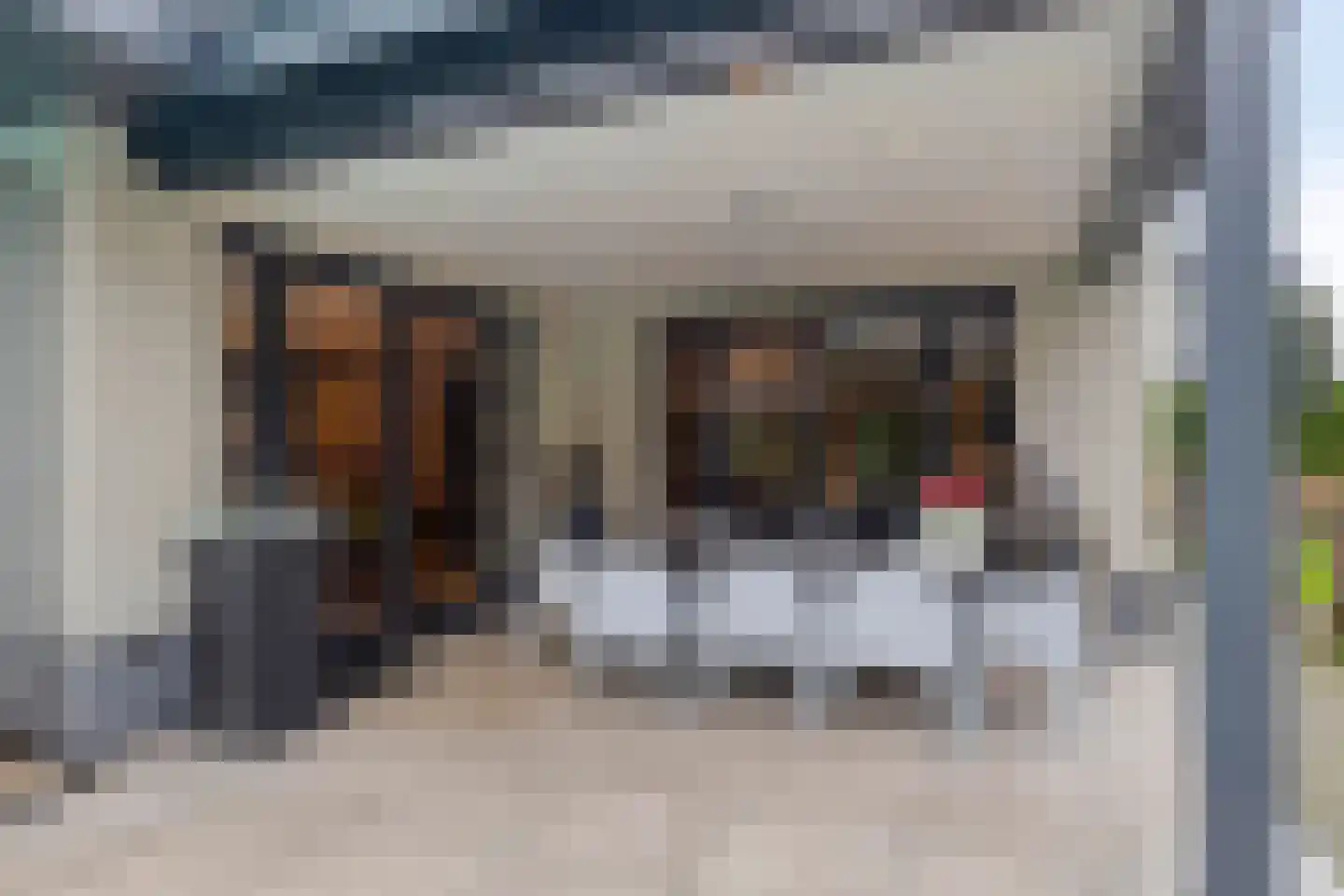Vlierbes 20 Hengelo thumbnail 42