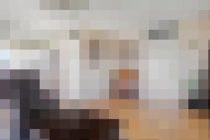Vlierbes 22 Tiel thumbnail 15