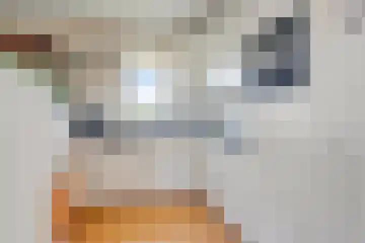 Vlierbes 22 Tiel thumbnail 18