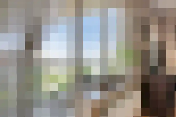 Vlierbes 22 Tiel thumbnail 21
