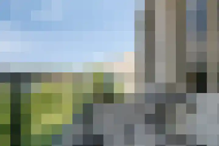 Vlierbes 22 Tiel thumbnail 22