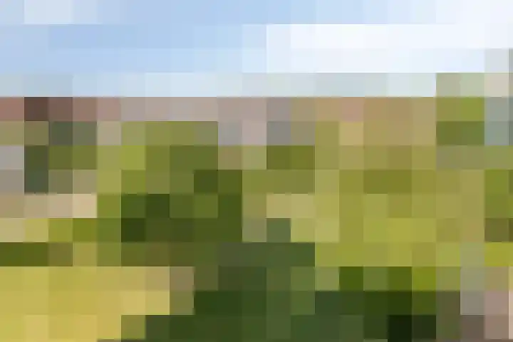 Vlierbes 22 Tiel thumbnail 30