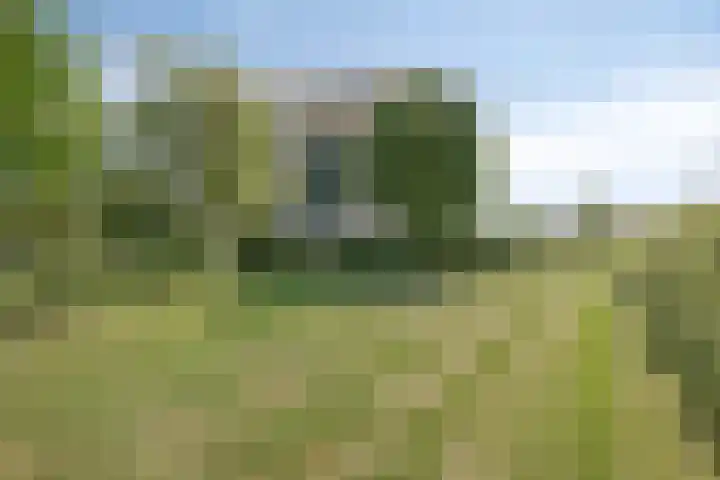 Vlierbes 22 Tiel thumbnail 4