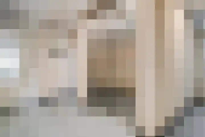 Vlierbes 22 Tiel thumbnail 8