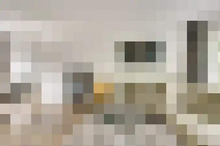 Vlierbes 30 Zeewolde thumbnail 10