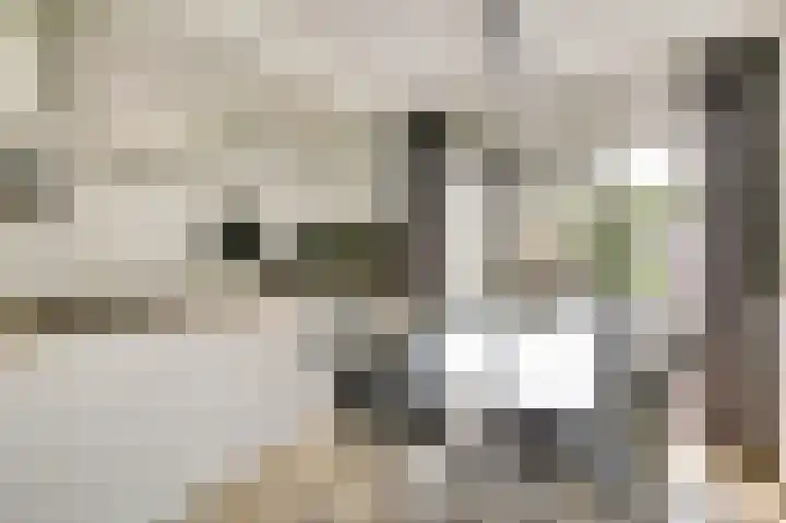 Vlierbes 30 Zeewolde thumbnail 11