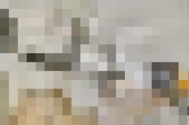 Vlierbes 30 Zeewolde thumbnail 12