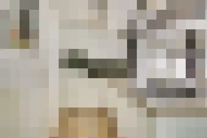 Vlierbes 30 Zeewolde thumbnail 13