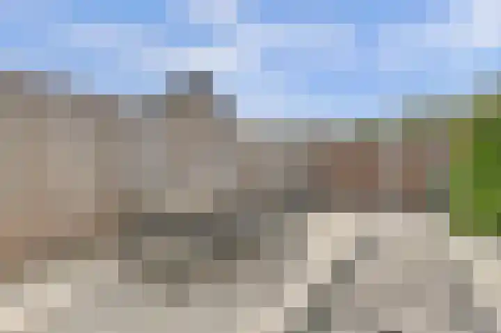 Vlierbes 30 Zeewolde thumbnail 25