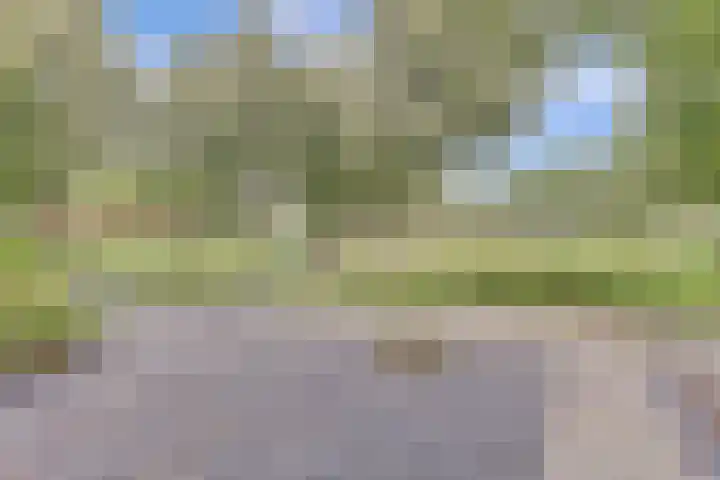 Vlierbes 30 Zeewolde thumbnail 30