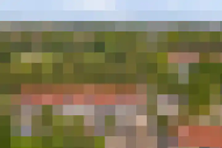Vlierbes 30 Zeewolde thumbnail 32