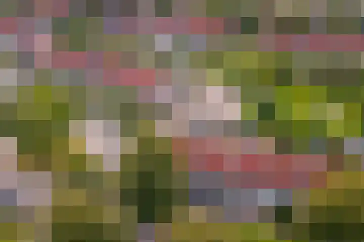 Vlierbes 30 Zeewolde thumbnail 33