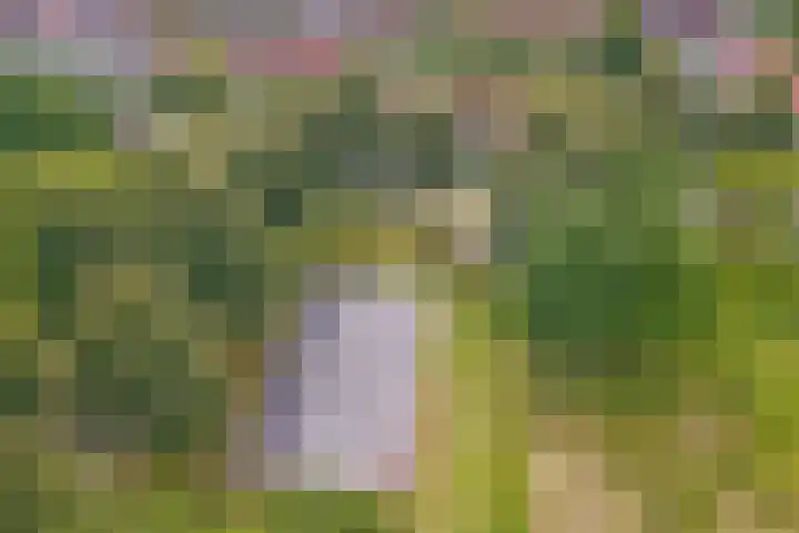 Vlierbes 30 Zeewolde thumbnail 34