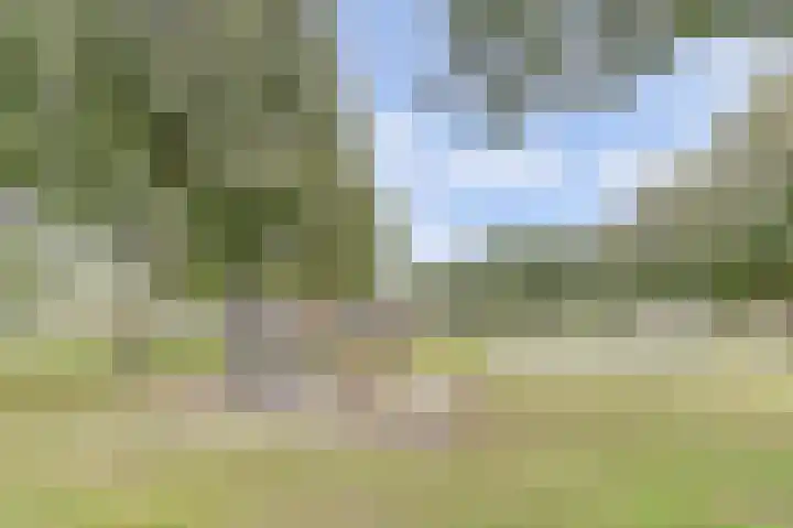 Vlierbes 30 Zeewolde thumbnail 35