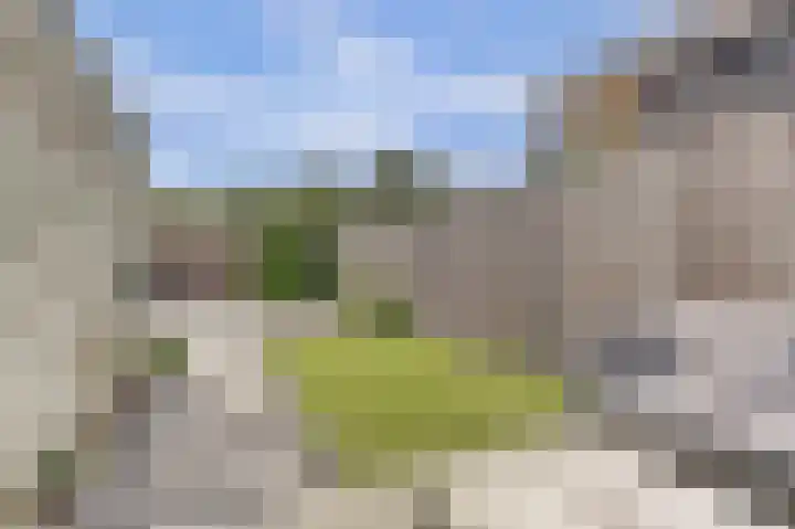 Vlierbes 30 Zeewolde thumbnail 4