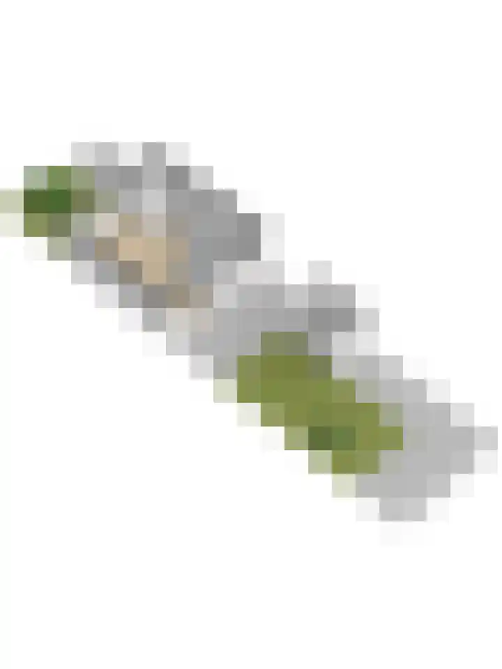 Vlierbes 30 Zeewolde thumbnail 43