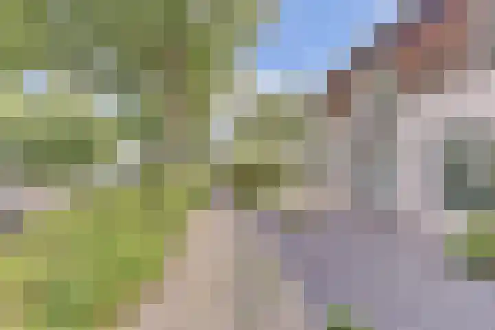 Vlierbes 30 Zeewolde thumbnail 5