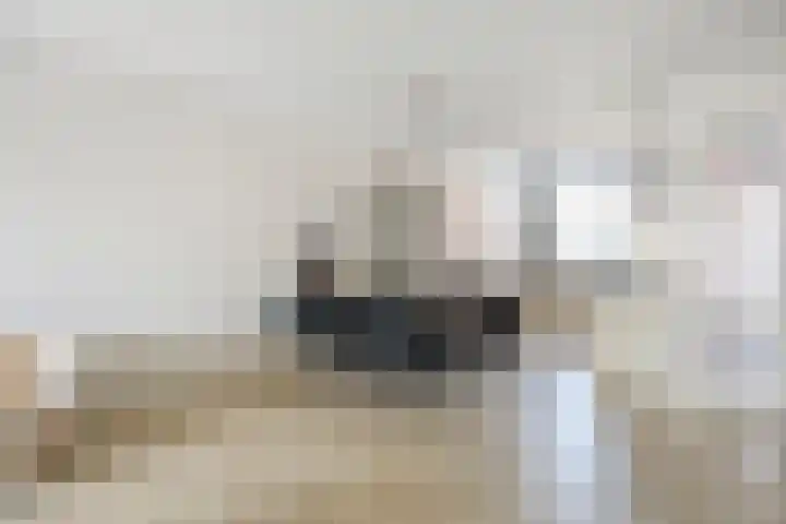 Vlierbes 39 Hengelo thumbnail 13