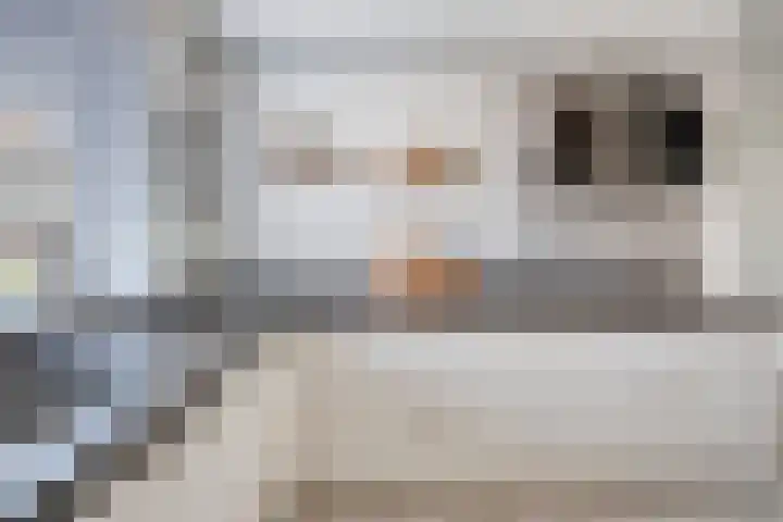Vlierbes 39 Hengelo thumbnail 15