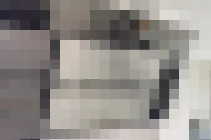 Vlierbes 39 Hengelo thumbnail 16
