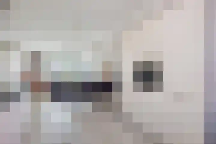Vlierbes 39 Hengelo thumbnail 17