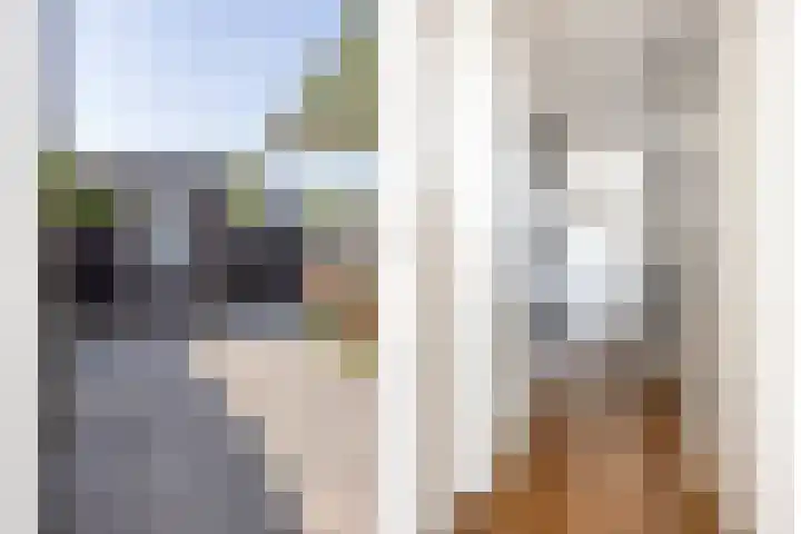 Vlierbes 39 Hengelo thumbnail 20