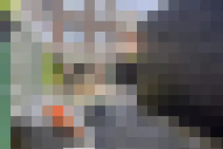 Vlierbes 39 Hengelo thumbnail 37