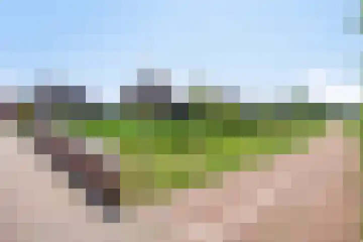 Vlierbes 39 Hengelo thumbnail 40