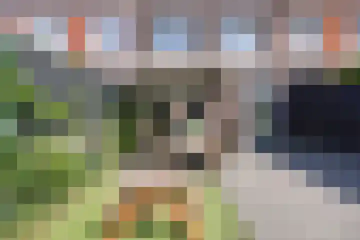 Vlierbes 39 Hengelo thumbnail 6