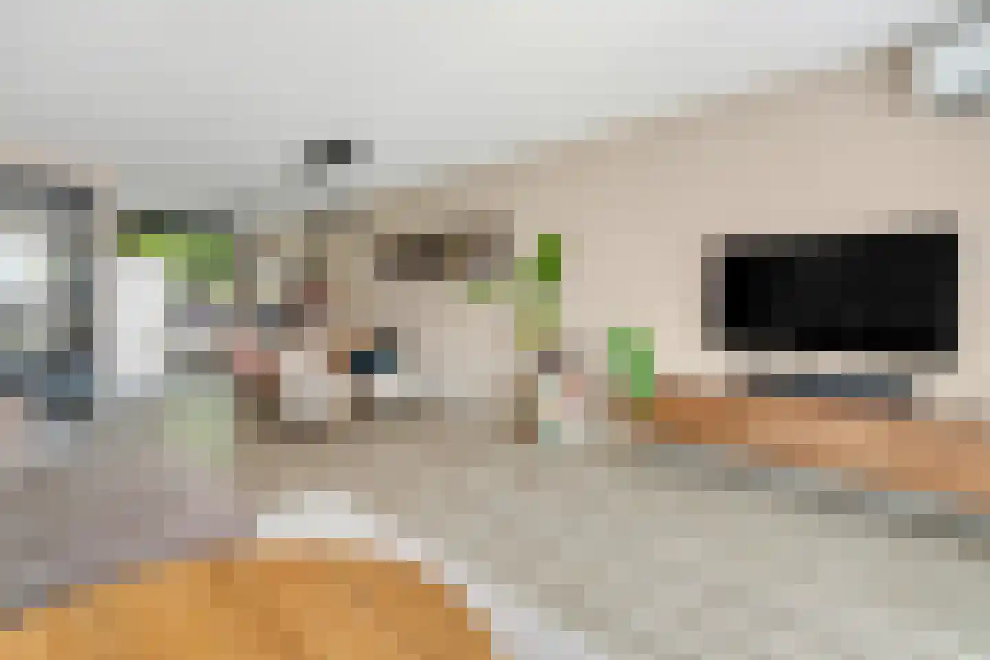 Vlierbes 48 Hengelo thumbnail 11