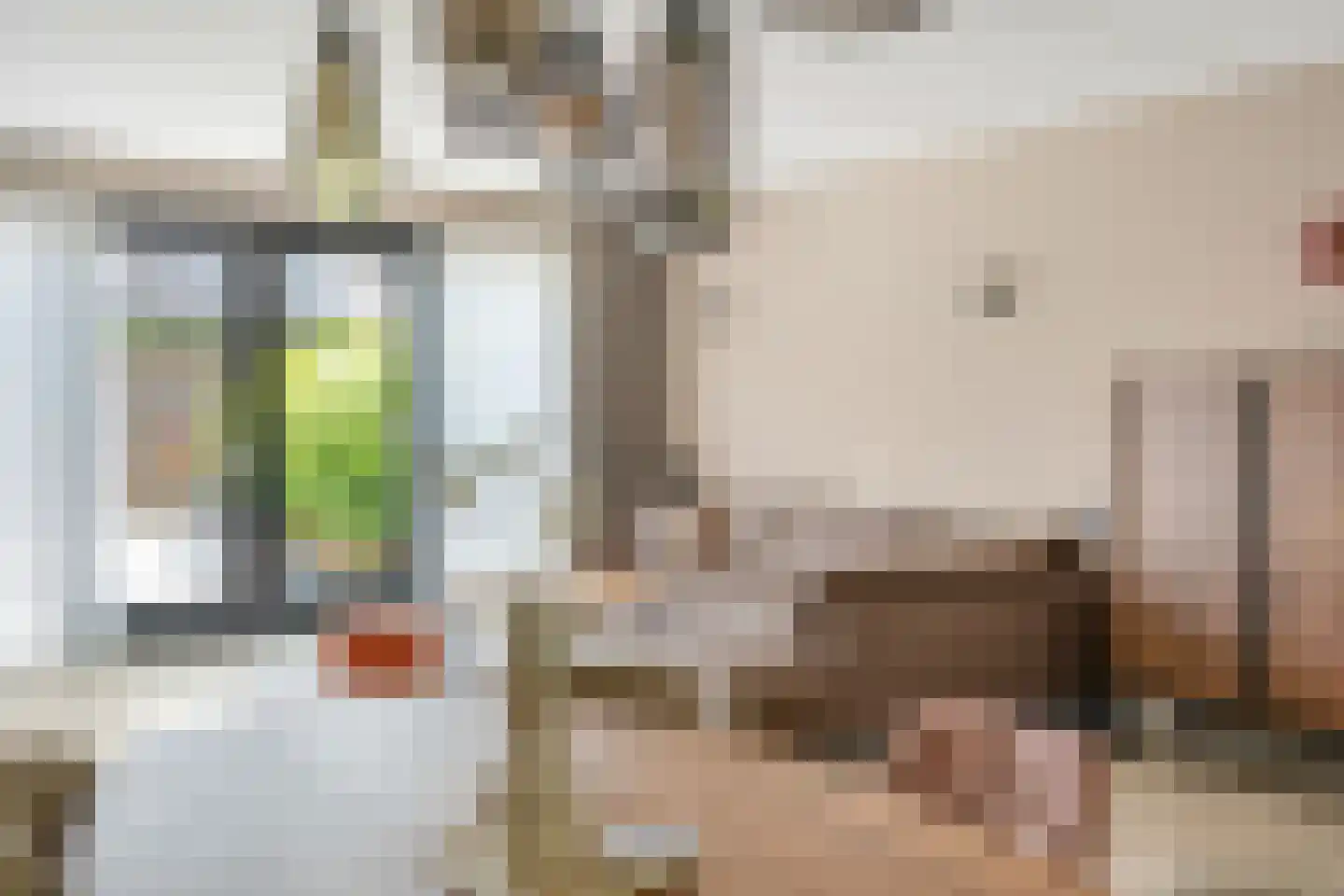 Vlierbes 48 Hengelo thumbnail 12