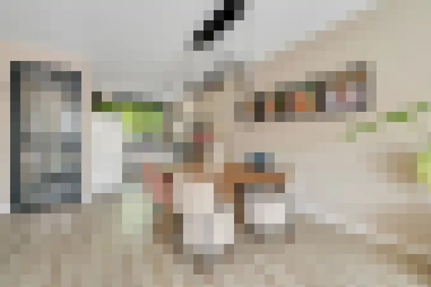 Vlierbes 48 Hengelo thumbnail 13