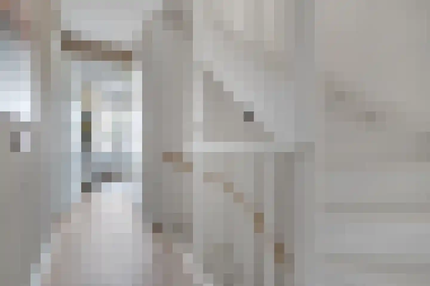 Vlierbes 48 Hengelo thumbnail 20