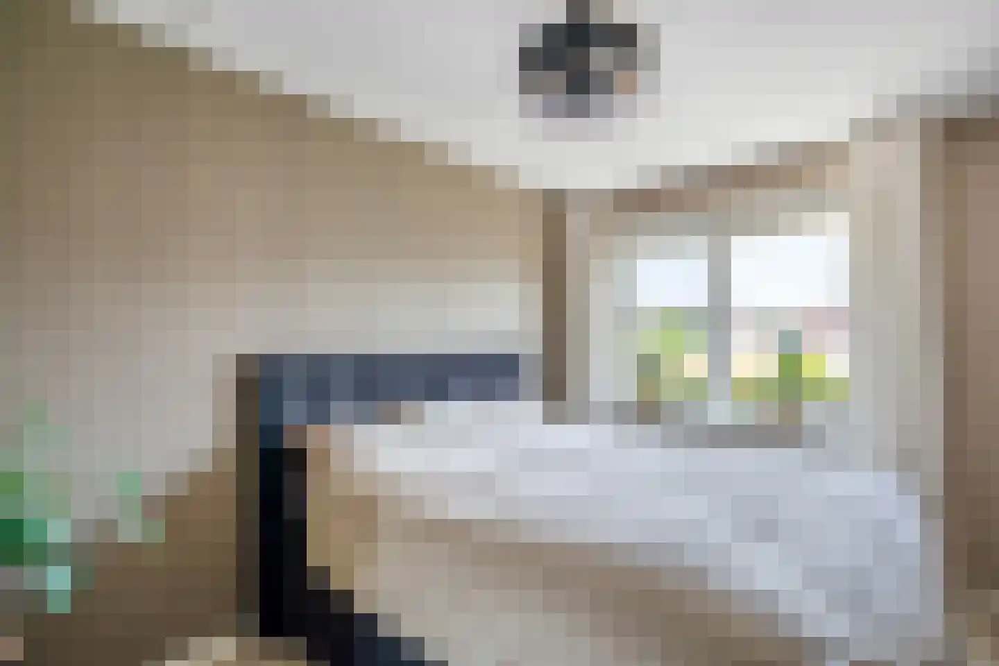 Vlierbes 48 Hengelo thumbnail 22