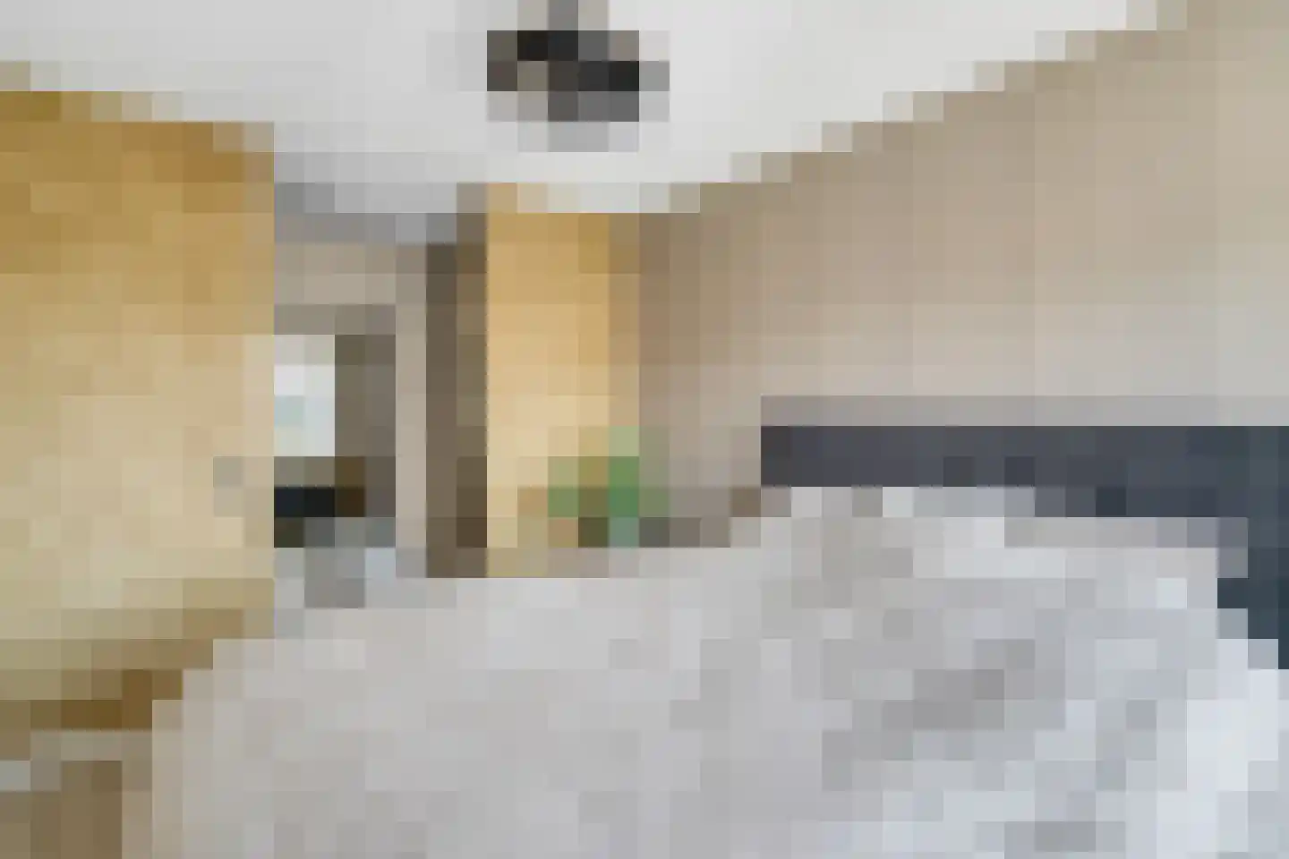 Vlierbes 48 Hengelo thumbnail 23